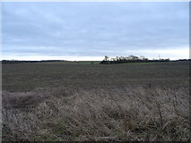 TA1436 : Farmland near Kelwell Farm by JThomas