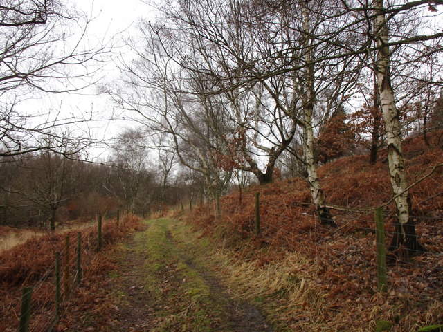 Track on Spring Hill