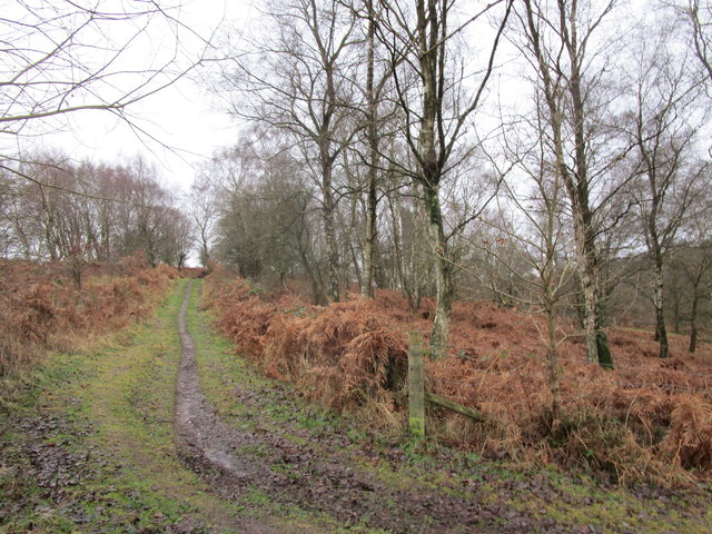 Path on Spring Hill