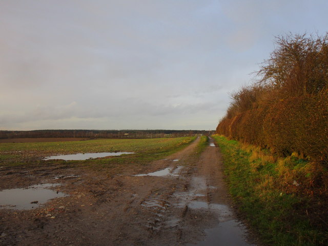 Farm track near Cottage Farm