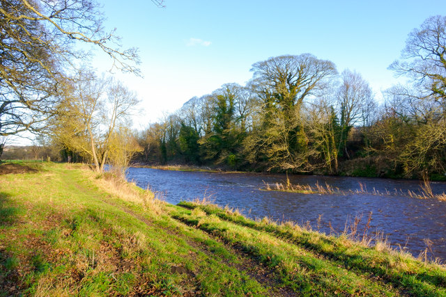 River Wear flowing near Furness Mill Farm