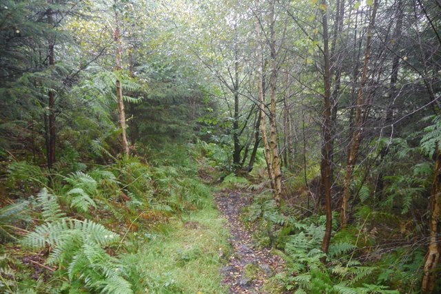 Path on Lodge Hill