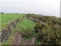 Ffordd hynafol Mynydd Drumau / Mynydd Drumau ancient way