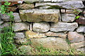 Benchmark on stone in wall on NE side of Mill Lane