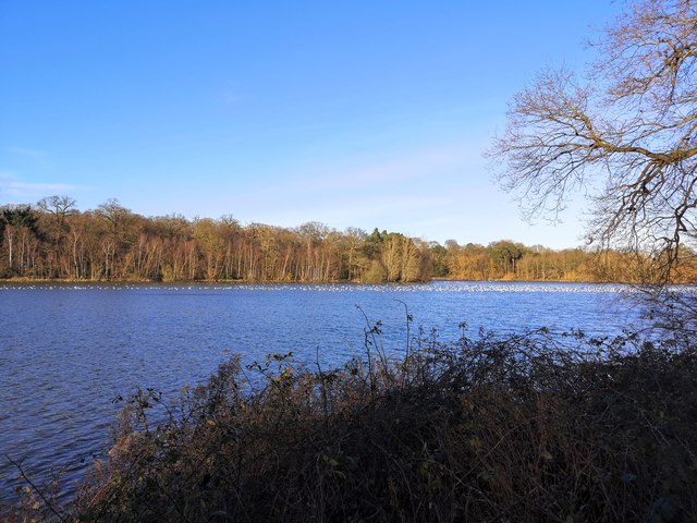 Clumber Lake towards Hardwick Village © Stephen Ostler :: Geograph ...