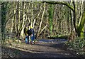 SK3087 : Walking in The Rivelin Valley by Neil Theasby