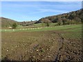 View to Hollow Combe