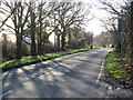 TQ5996 : Doddinghurst Road, near Brentwood by Malc McDonald