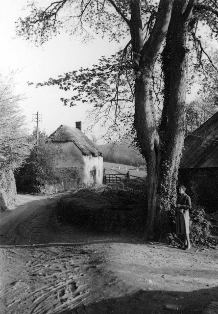 Wood Lane, Stogumber, 1950