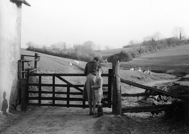 Gate at Forge Cottage, Stogumber, 1950