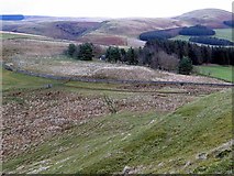 NT9207 : Clennell Street from Castle Hills by Andrew Curtis
