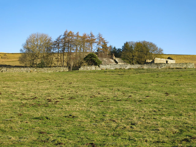 Rough pastures below Shepherd's House (2)