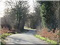 TQ5897 : Days Lane, near Doddinghurst by Malc McDonald