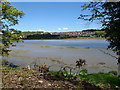 Esturine mud in the Newry River