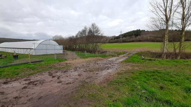 Polytunnel in the Coughton valley