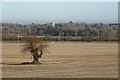 Farmland at Croome