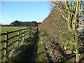 Bridleway at Hogsnorton, Codocote