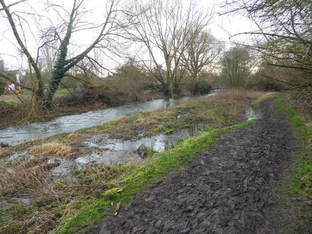 Footpath By The River Darent, Horton © Pam Fray :: Geograph Britain 