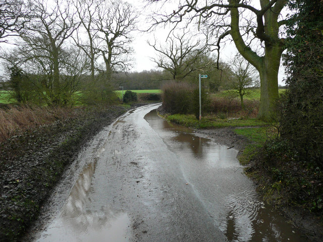 Puddle across the start of a bridleway, Slip Lane, Old Knebworth