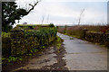 Pillar and stone wall, Doogary