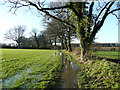 Flooded footpath off Spinney Lane, Knebworth