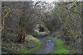 Path in Highfield Country Park