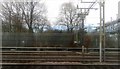 Railway equipment and the southern fence of the City of London Cemetery