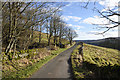 NY8739 : Minor road at Allercleugh Plantation by Trevor Littlewood