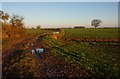 Path leading to Lowthorpe