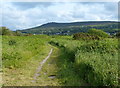 Pembrokeshire Coast Path at The Bennet