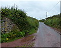 SM8607 : Pembrokeshire Coast Path and lane towards Herbrandston by Mat Fascione