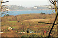 Farmland near Churston