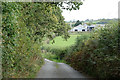 Lane to Westacott Farm, Petrockstowe DSC08820