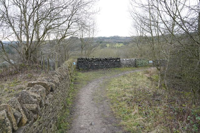 Examples of dry stone walling