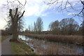 River Slea between the water mill and Sleaford