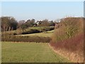 Footpath to Crofton