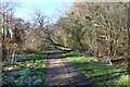 Tree on the Path