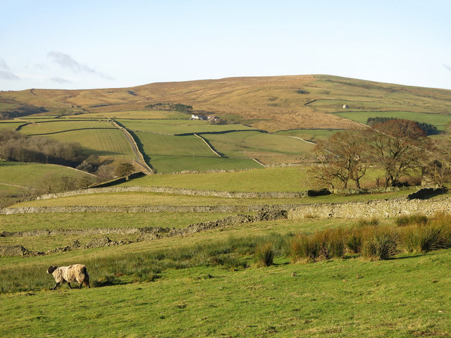 The lower Rookhope valley below Shepherd's House
