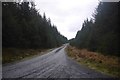 NX5573 : East bound logging road, Bennan Block by Richard Webb