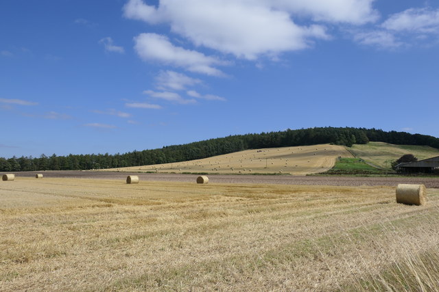 Field at foot of Dunnichen Hill