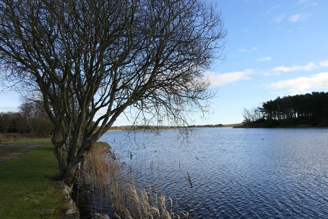 Rescobie Loch