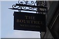 The Bourtree