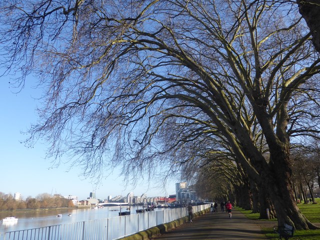 The Thames Path in Wandsworth Park