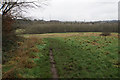 Path in Reddish Vale Country Park