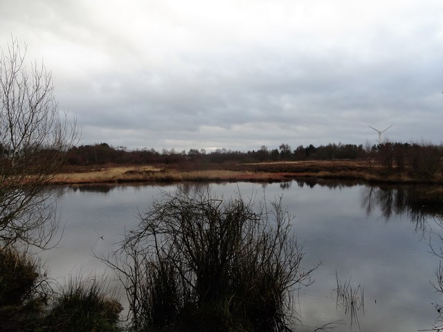 Heathland pond at Greencroft
