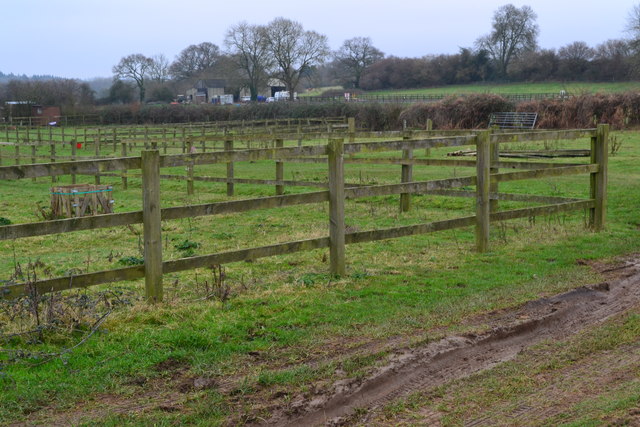 Fenced paddocks beside Newton Lane