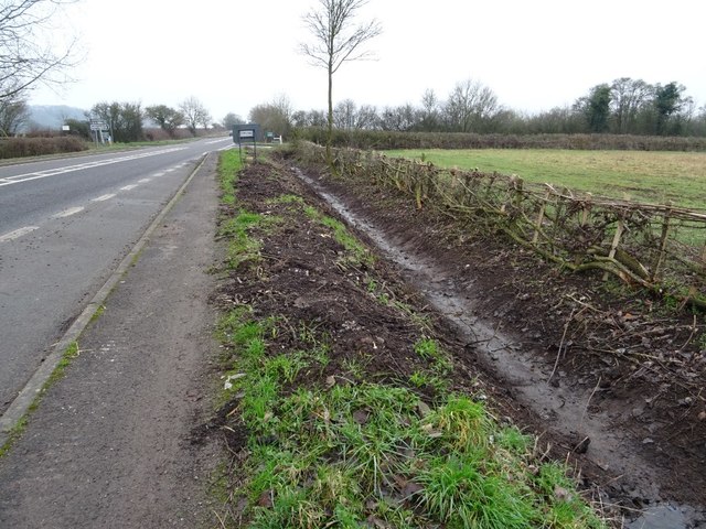 Hedge laying beside the A417