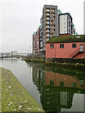 TM1643 : Ipswich: flats reflected in New Cut by John Sutton