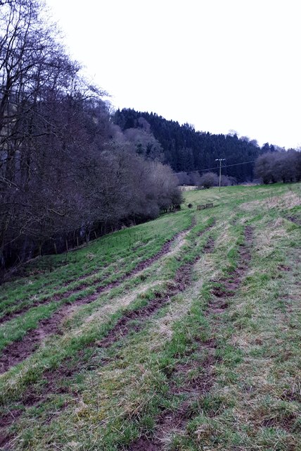 Path braiding in the field beyond Woodend Bridge