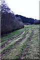 Path braiding in the field beyond Woodend Bridge